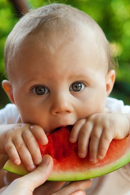 alimentação